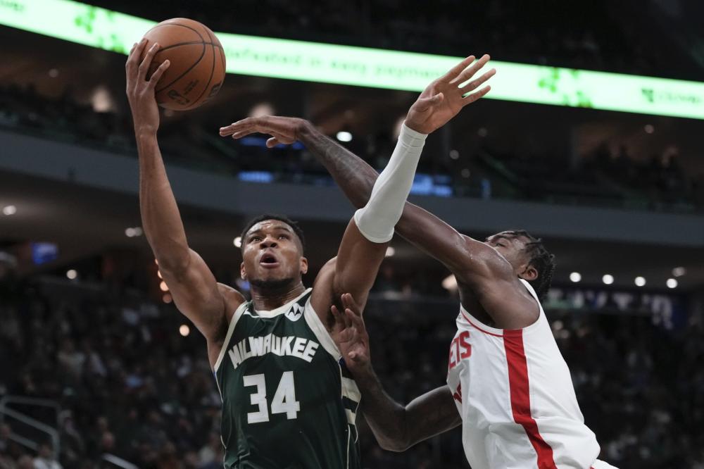 极具观赏性 极具观赏性