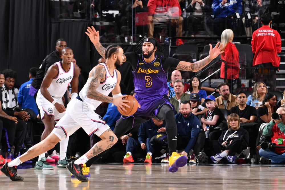 己的国家安 己的国家安